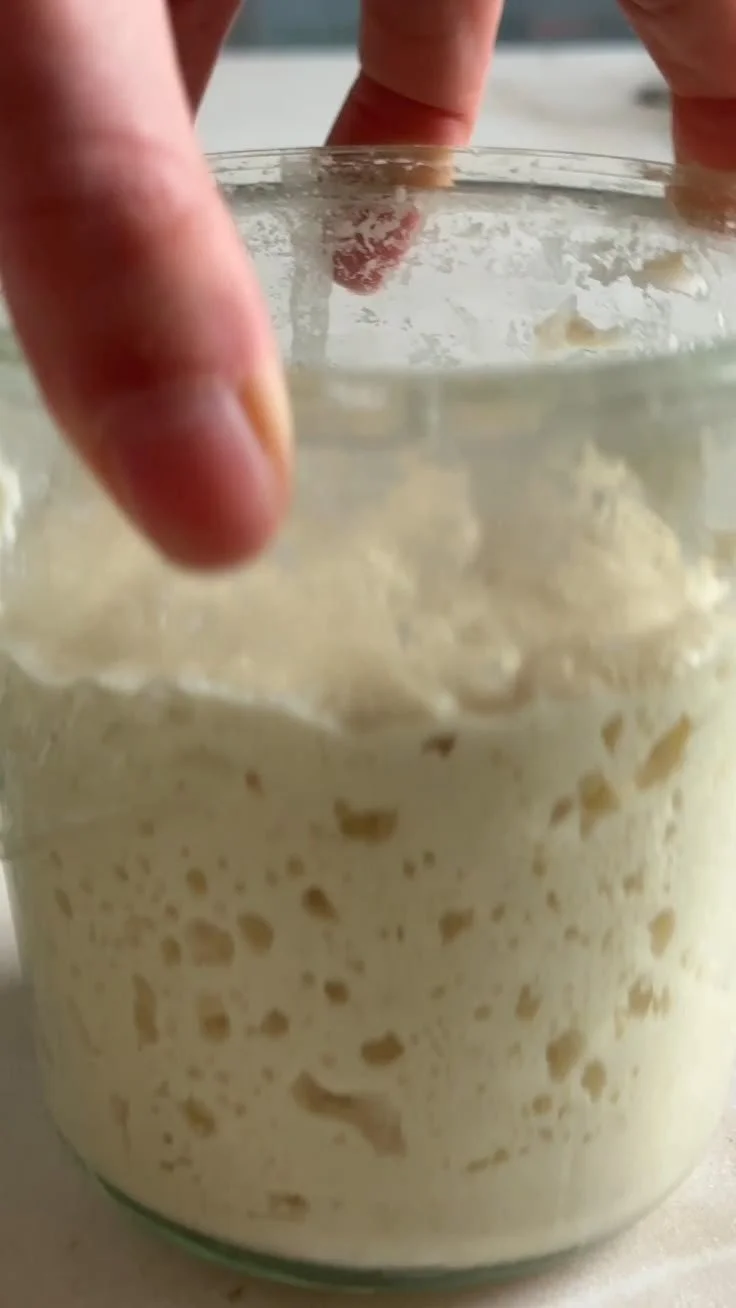 Freshly baked Sourdough Ciabatta Rolls on a wooden table