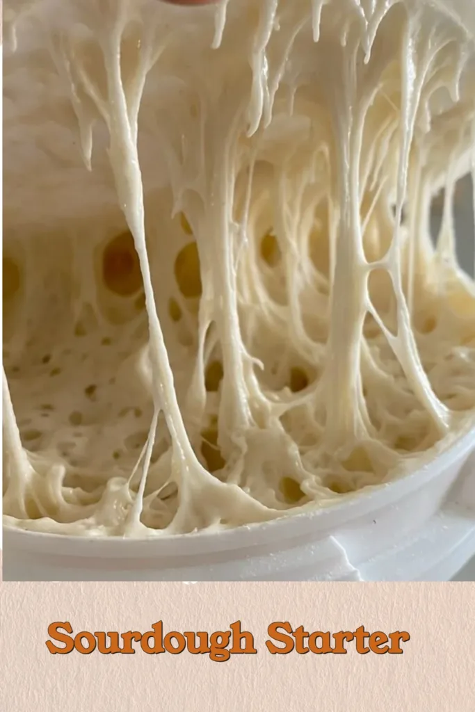 sourdough starter 2026 03 26 001802 683x1024 1