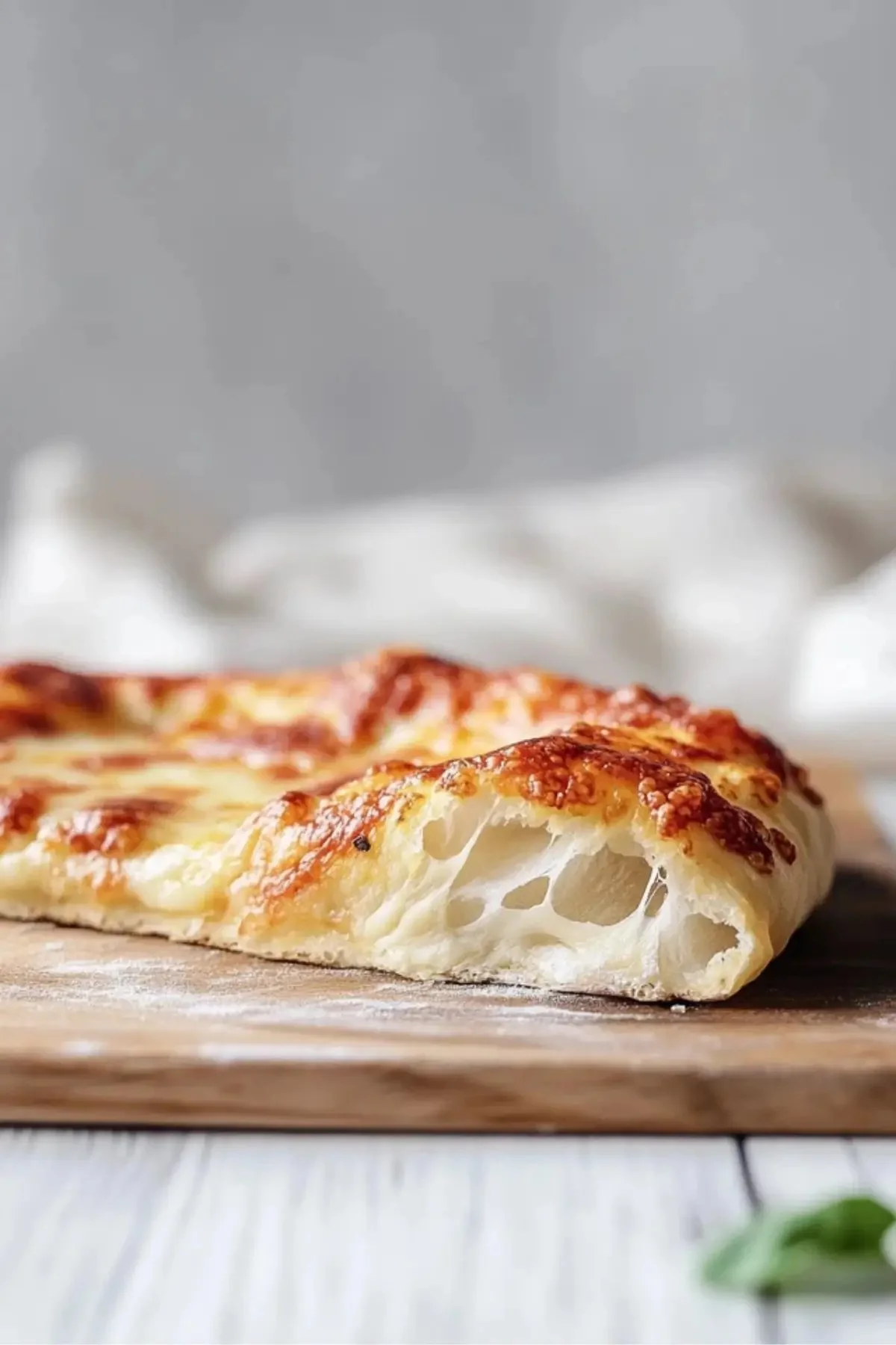 The Perfect Artisan Pizza Dough